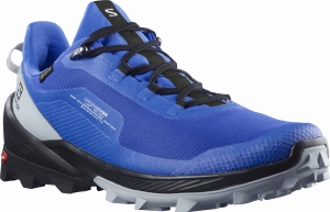 Buty Salomon Cross Over GTX Gore-Tex Palace Blue/Black 412860