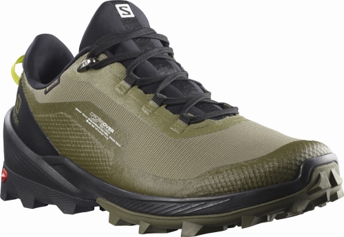 Buty Salomon Cross Over GTX Gore-Tex Deep Lichten Green 412862