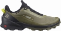 Buty Salomon Cross Over GTX Gore-Tex Deep Lichten Green 412862