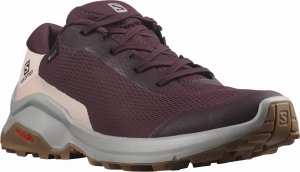 Buty Salomon X Reveal GTX Gore-Tex W Wine Tasting/Alloy 414357