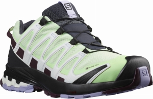 Buty Salomon XA Pro 3D V8 GTX Gore-Tex W Patina Green 25,0cm/40,0