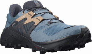 Buty Salomon Wildcross 2 GTX Gore-Tex W Bluestone/Ebony 414579