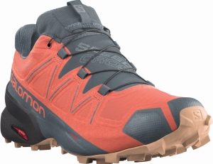 Buty Salomon Speedcross 5 GTX Gore-Tex W Persimon/Phantom 413096