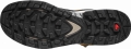 Buty Salomon Quest Element GTX Gore-Tex Cumin/Bleached Sand 414573