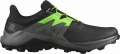 Buty Salomon Wildcross 2 Black/Quiet Shade/Green Gecko 414536