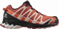 Buty Salomon XA Pro 3D V8 GTX Gore-Tex W Mecca Orange 414427