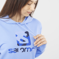 Bluza z Kapturem Unisex Salomon OUTLIFE Logo Summer Provence
