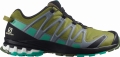 Buty Salomon XA Pro 3D V8 GTX Green Moss 30.0cm/46 2/3, 30.5cm, 32.0 cm