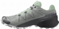 Buty Salomon Speedcross 5 W Wrought Iron/Spray 416098