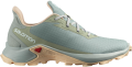 Buty Salomon Alphacross 3 W Wrought Iron 416000