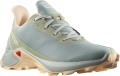 Buty Salomon Alphacross 3 W Wrought Iron 416000