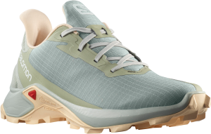 Buty Salomon Alphacross 3 W Wrought Iron 416000