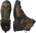 Buty Salomon Quest 4 GTX Desert Palm/Black/Kelp 30.5cm/47 1/3