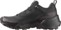 Buty Salomon Cross Hike 2 GTX W Black/Chocolate 417305