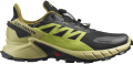 Buty Salomon Supercross 4 GTX Gore-Tex Black/Leek Green 417317