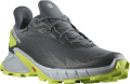 Buty Salomon Alphacross 4 GTX Gore-Tex  Ebony/Pearl Blue/Acid Lime 470667