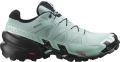 Buty Salomon Speedcross 6 GTX Gore-Tex W Aquifer/Black 417435