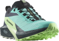 Buty Salomon Sense Ride 5 GTX W Blue Radiance/Green Ash 472160