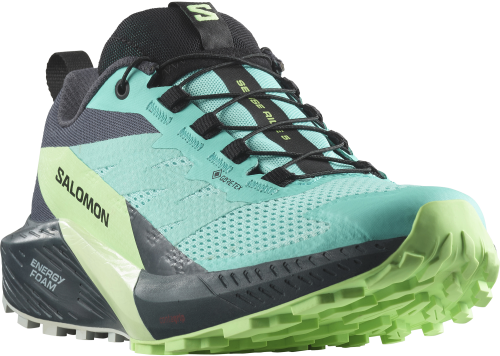 Buty Salomon Sense Ride 5 GTX W Blue Radiance/Green Ash 472160