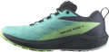 Buty Salomon Sense Ride 5 GTX W Blue Radiance/Green Ash 472160