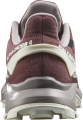 Buty Salomon Alphacross 4 GTX W Wild Ginger/Ashes Of Roses/White 471174