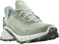 Buty Salomon Alphacross 4 GTX W Desert Sage/White/Laurel Wreath 25.5/40 2/3