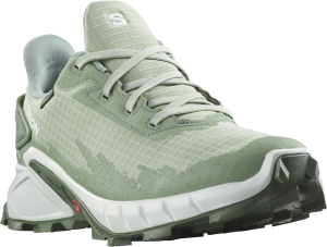 Buty Salomon Alphacross 4 GTX W Desert Sage/White/Laurel Wreath 25.5/40 2/3