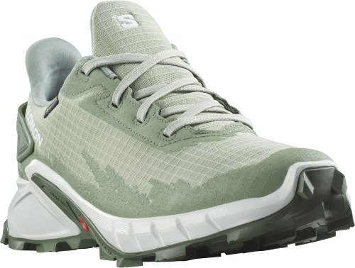 Buty Salomon Alphacross 4 GTX W Desert Sage/White/Laurel Wreath 25.5/40 2/3