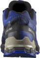 Buty Salomon XA Pro 3D V9 GTX Blue Print/Surf The Web/Lapis Blue 472703