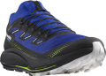 Buty Salomon Pulsar Trail PRO 2 Surf The Web/Black/Safety Yellow 473850