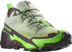 Buty Salomon Cross Hike 2 GTX Gore-Tex Desert Sage/Green Gecko 472776