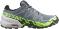 Buty Salomon Speedcross 6 GTX Gore-Tex Flint Stone/Green Gecko/Black 473019