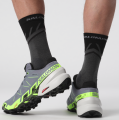 Buty Salomon Speedcross 6 GTX Gore-Tex Flint Stone/Green Gecko/Black 473019