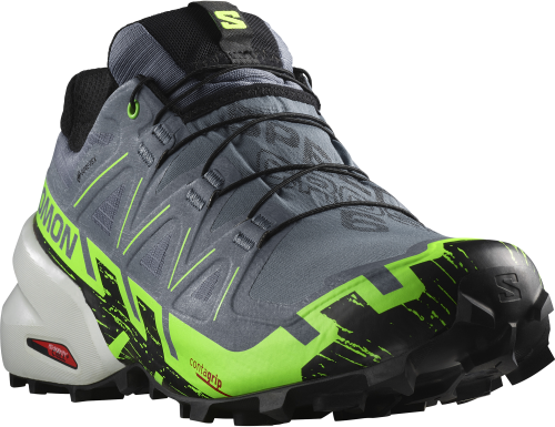 Buty Salomon Speedcross 6 GTX Gore-Tex Flint Stone/Green Gecko/Black 473019