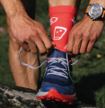 Buty Salomon Glide MAX TR Run The Alps Surf The Web/Quarry/High Risk Red 473856