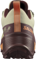 Buty Salomon Cross Hike 2 GTX Gore-Tex W Alfalfa/Cantaloupe/Bitter Chocolate 472778
