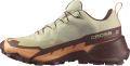 Buty Salomon Cross Hike 2 GTX Gore-Tex W Alfalfa/Cantaloupe/Bitter Chocolate 472778