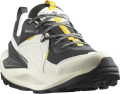 Buty Salomon Elixir GTX Gore-Tex Vanilla Ice/Phantom/Lemon 472958