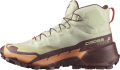 Buty Salomon Cross Hike 2 MID GTX W Alfalfa/Cantaloupe/Bitter Chocolate 472779