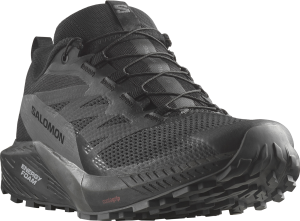 Buty Salomon Sense Ride 5 GTX Gore-Tex Black/Magnet/Black 471472