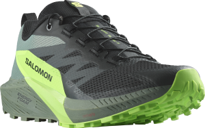 Buty Salomon Sense Ride 5 Black/Laurel Wreath/Green Gecko 473111