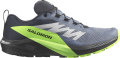 Buty Salomon Sense Ride 5 GTX Gore-Tex Flint Stone/Black/Green Gecko 473128