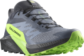 Buty Salomon Sense Ride 5 GTX Gore-Tex Flint Stone/Black/Green Gecko 473128