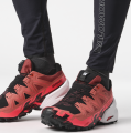 Buty Salomon Spikecross 6 GTX Gore-Tex Cow Hide/Black/Neon Flame 472707