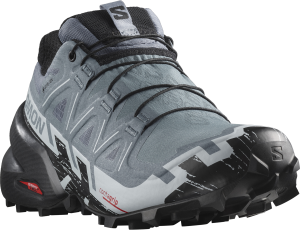 Buty Salomon Speedcross 6 GTX Gore-Tex W Flint Stone/Black/Heather 473023