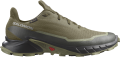 Buty Salomon Alphacross 5 GTX Gore-Tex Olive Night/Black/Deep Lichen Green 473103