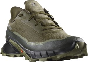 Buty Salomon Alphacross 5 GTX Gore-Tex Olive Night/Black/Deep Lichen Green 473103