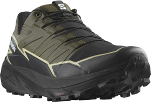 Buty Salomon Thundercross GTX Gore-Tex Olive Night/Black/Alfalfa 473834