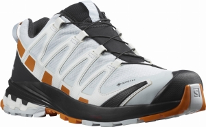 Buty Salomon XA Pro 3D V8 GTX W Plein Air/Marmalade/Night Sky 415641