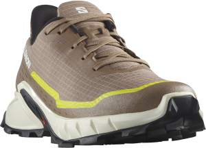 Buty Salomon Alphacross 5 Caribou/Canteen/Sulphur Spring 474601